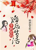 李教授的婚后生活讲的什么