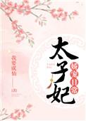 太子妃娇宠日常晋江