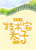 清穿之技术宅太子免费阅读