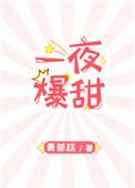 一夜爆红txt