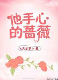 他手心的蔷薇娱乐圈