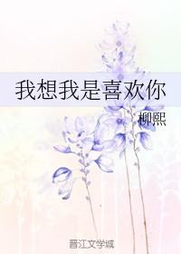我想我喜欢你歌词是什么歌曲