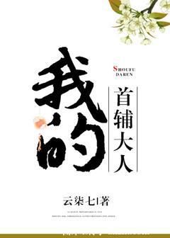 我的首辅大人无防盗