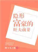 隐形富豪护妻