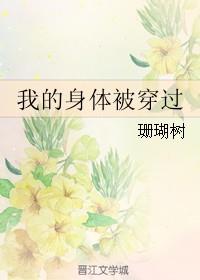 穿透我的身体