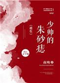 电视剧少帅是根据哪个改编的