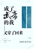 成了武帝的我又穿回来了