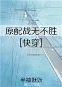 原配战无不胜 快穿