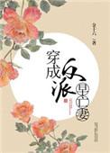 穿成反派早死前妻