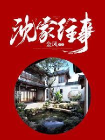 沈家是什么电视剧里的