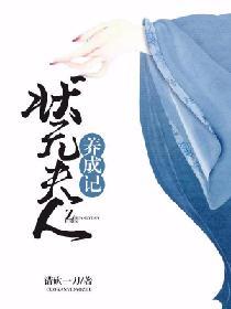 状元夫人txt