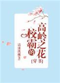 校霸的高岭之花晋江