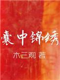 囊中锦绣by木三观txt