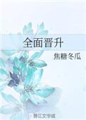 全面晋升by焦糖冬瓜txt盘