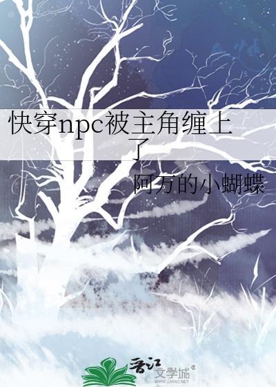 快穿npc系统