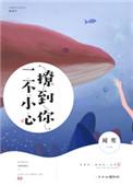 一不小心撩到你闻笙全文
