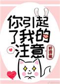 你引起的我的注意