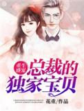 重生盛宠总裁的独宠宝贝