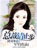 总裁请止步全文阅读