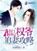 名门暖婚之权爷追妻攻略全本
