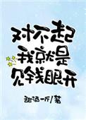 对不起是多少钱