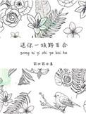 送你一枝野百合txt