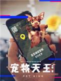 宠物天王怎么突然就完结了