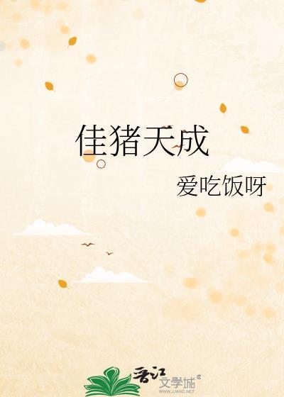 佳猪电视剧