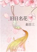 旧日名花txt百度