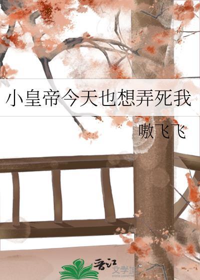 小皇帝今天也很震惊