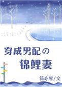 穿成男配锦鲤妻