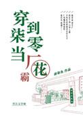 穿越七零当厂花免费阅读
