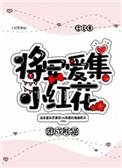 将军爱集小红花 剧透