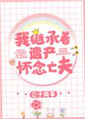 我继承者遗产怀念亡夫盘搜搜