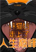 养猫之后我走向了人生巅峰