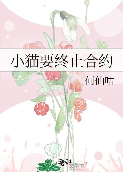小猫要终止合约大结局