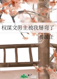 权谋文男主无cp