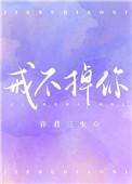 歌曲戒爱戒情戒不掉你