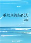 重生顶流经纪人txt