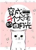 穿成三个大佬的白月光免费阅读全文