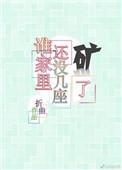 谁家里还没几座矿了微盘