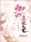 娇宠卿卿免费阅读眠风枕月