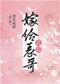 嫁给表哥之后木秀于林