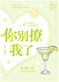 你别撩我了娱乐圈木甜