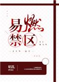 易燃禁区全文