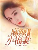 重生九零麻辣小医嫂全文免费阅读