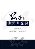 公子他霁月光风txt宝书网