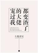 宠爱我的大佬知乎