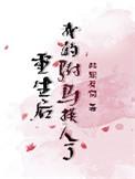 重生后我的驸马换人了txt