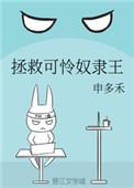 拯救可怜奴隶王结局